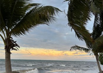 Belize 275x250