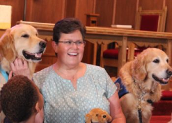 Sue Dogs Chapel IMG_5953 feature image resized