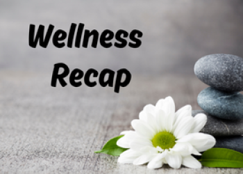 Wellness-3