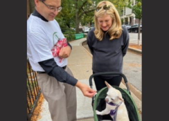pet blessing